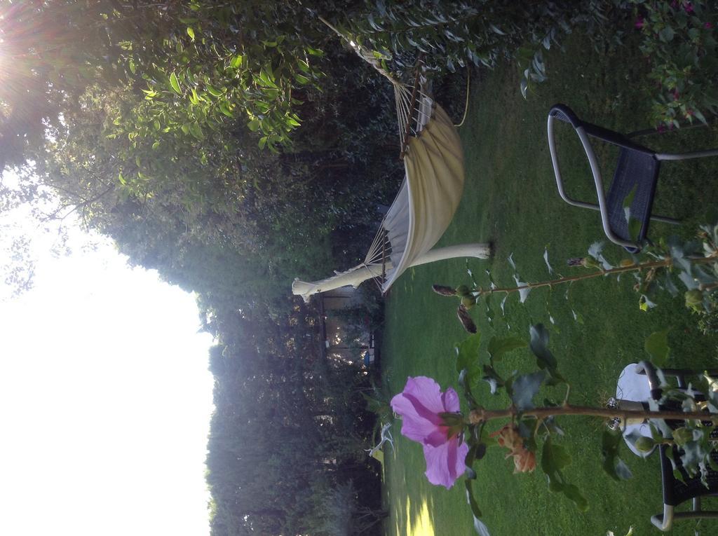 La Demeure Bed and Breakfast Eyguières Buitenkant foto